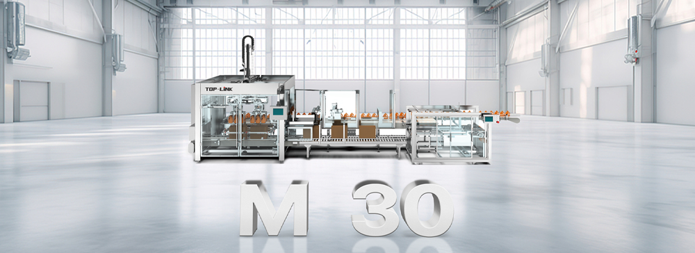 Automatic Vertical Case Packer